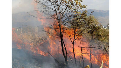 آتش‌سوزی جنگل‌های خرم‌آباد مهار شد / تلاش برای شناسایی عاملان این حادثه