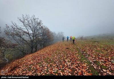 نجات خانواده گمشده در جنگل‌های ارسباران - تسنیم