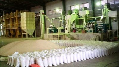 آماده سازی و اصلاح ساختار ۷۵۰ کارخانه شالیکوبی در گیلان
