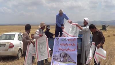 جمع آوری۲۲ تن زکات محصولات کشاورزی از خیرین منطقه‌ی مرادلو