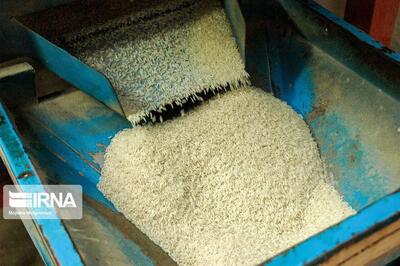 بازار عمده فروشی برنج مازندران در حال کشف و تعادل قیمت