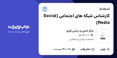 استخدام کارشناس شبکه های اجتماعی (Social Media) - خانم در مرکز لاغری و زیبایی لوئیز