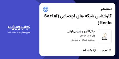 استخدام کارشناس شبکه های اجتماعی (Social Media) در مرکز لاغری و زیبایی لوئیز