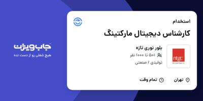 استخدام کارشناس دیجیتال مارکتینگ در بلور نوری تازه