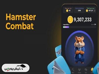 قیمت همستر کامبت امروز یکشنبه ۳۱ تیر ۱۴۰۳