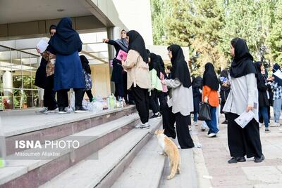 آغاز سال تحصیلی دانشگاه‌ها با دو هفته تاخیر