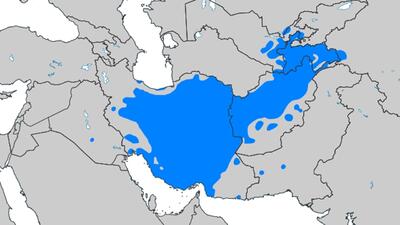 جایگاه زبان فارسی در دنیا + فیلم