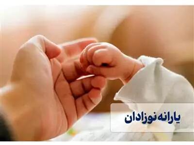 اندیشه معاصر - ثبت نام یارانه نوزاد/ استعلام یارانه نوزاد با کد ملی اندیشه معاصر