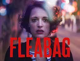 معرفی سریال فلیبگ- Fleabag