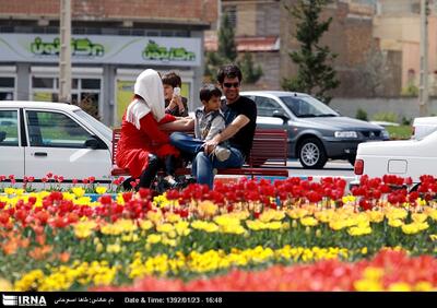 ۱.۵ میلیون بوته گل در همدان کاشته شد