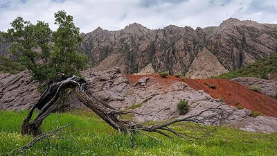 مهراب کوه استان لرستان ثبت ملی شد