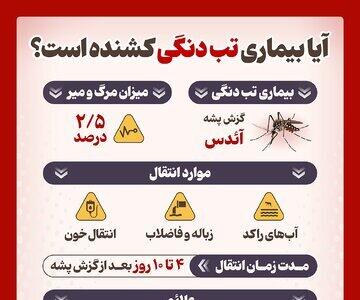 اینفوگرافی/ آیا بیماری تب دنگی کشنده است؟ | اقتصاد24