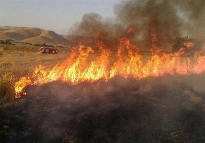 آتشی که به جان جنگل‌ها افتاده و خاموش نمی‌شود! +ویدئو