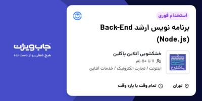 استخدام برنامه نویس ارشد Back-End (Node.js) در خشکشویی آنلاین پاکلین