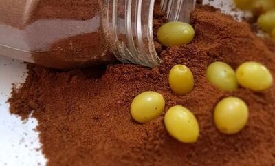 طرز تهیه گرده غوره خانگی؛ خوش‌طعم و پرکاربرد