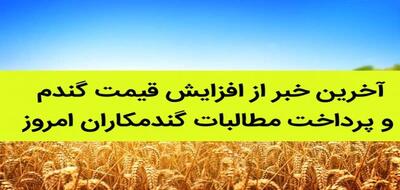 اندیشه معاصر - آخرین خبر از طلب ۱۰۲ هزار میلیارد تومانی گندم‌کاران از دولت+ زمان واریز مطالبات گندمکاران اندیشه معاصر