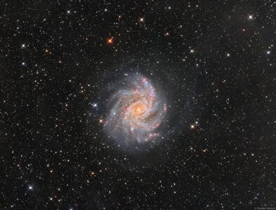 تصویر روز ناسا: روبه‌روی NGC 6946