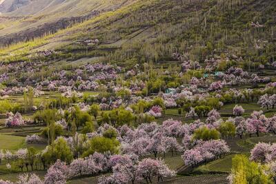 زیبایی دره چوندا در پاکستان (فیلم)