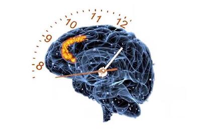 زمان در مغز ما بیشتر شبیه شمارنده است تا ساعت