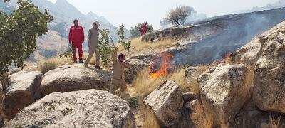 آتش دوباره در جنگل های باشت شعله ور شد؛ این بار کوه فتح