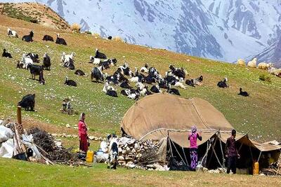 خریداری ۶۵۰ مخزن آب برای عشایر خوزستان