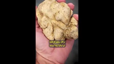 4مورد از گران ترین مواد غذایی در دنیا