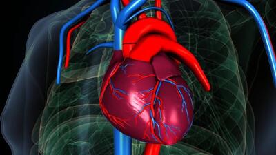 بهترین راه تشخیص گرفتگی رگهای قلب (۶ روش تضمینی)