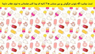 تست بینایی: اگه بتونی خرگوش رو بین بستنی ها 7 ثانیه ای پیدا کنی چشمانی به تیزی عقاب داری!