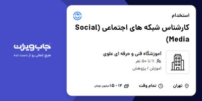 استخدام کارشناس شبکه های اجتماعی (Social Media) در آموزشگاه فنی و حرفه ای علوی