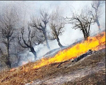 شناسایی ۵  نفر در لرستان     به اتهام آتش‌ زدن عمدی مراتع