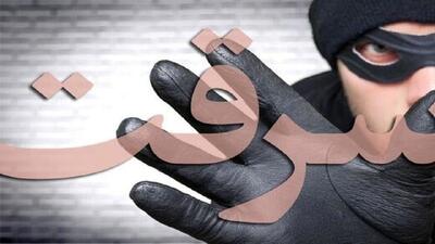 دستگیری سارق منزل با ۱۶ فقره سرقت در ساوجبلاغ