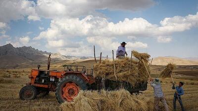 امکان اخذ مالیات از فعالیت‎های کشاورزی در ایران وجود ندارد