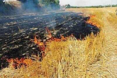 ۱۸ هکتار از محصولات مزارع گندم و جو شهرستان اقلید در آتش سوخت