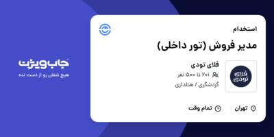 استخدام مدیر فروش (تور داخلی) در فلای تودی