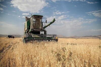 ۲۸۰ هزار تن گندم از کشاورزان استان مرکزی خریداری شده است