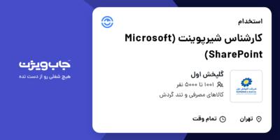 استخدام کارشناس شیرپوینت (Microsoft SharePoint) در گلپخش اول