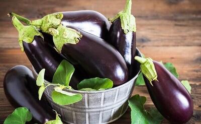  آیا خوردن بادمجان واقعا باعث سنگ کلیه می شود؟