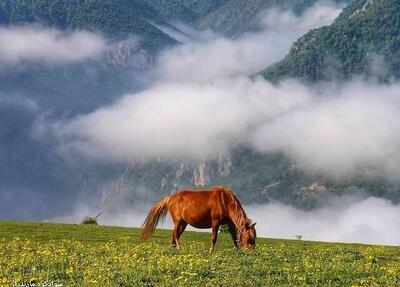 عکسی از طبیعت دلربای سواد کوه مازندران