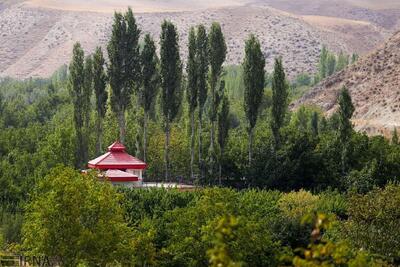 انحراف حدود ۷۰ درصد تغییر کاربری زمین برای طرح های سرمایه‌گذاری در مازندران