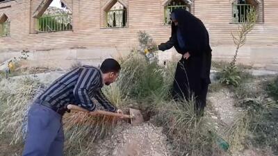 برگزاری مراسم کاشت درخت در آرامستان و مزار شهدای روستای لزور + فیلم