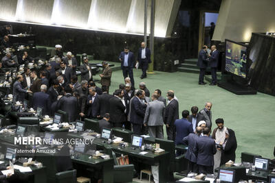 ناظر مجلس در شورای توسعه مدیریت سرمایه انسانی انتخاب شد