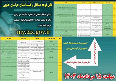 ثبت 27 طرح در سامانه نشان‌دار کردن مالیاتی خراسان جنوبی - تسنیم