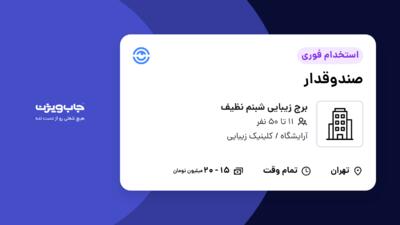 استخدام صندوقدار - خانم در برج زیبایی شبنم نظیف