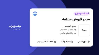 استخدام مدیر فروش منطقه در بادی اسپینر