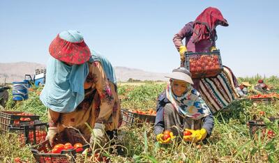 «صندوق علوی» از وام کمک‌معیشت تا اشتغال‌زایی برای بانوان