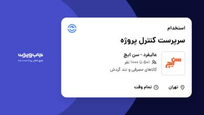 استخدام سرپرست کنترل پروژه - آقا در عالیفرد - سن ایچ