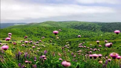 پیش‌بینی کاهش دمای هوا در استان اردبیل از اواخر هفته