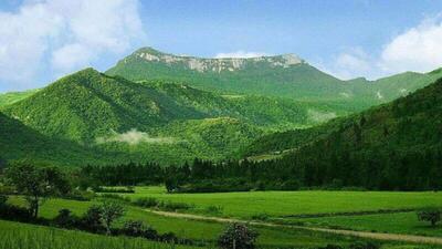 لذت تماشای طبیعت سرسبز روستای داش دیبی از لنز دوربین شهروند خبرنگار