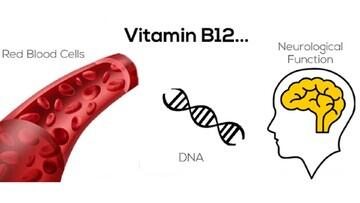 زوال عقل، کم‌خونی و مشکلات بینایی، از علائم کمبود این ویتامین - عصر خبر