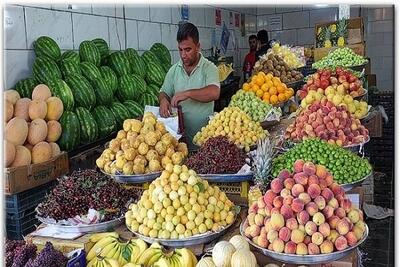 اتحادیه فروشندگان میوه: مردم از خریدهای فله‌ای میوه به خریدهای کم مقدار تغییر الگو داده اند | خبرگزاری بین المللی شفقنا